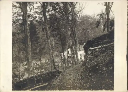 Foto Meurthe et Moselle, Bois le Pretre, Priesterwald