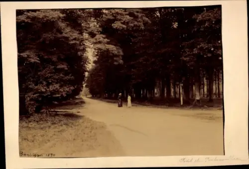Foto Barbizon Seine et Marne, Naturpark