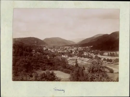 Foto Ternay Rhône, Gesamtansicht