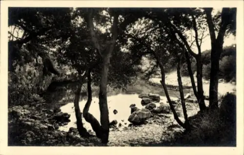 Ak Lacroma Insel Lokrum Kroatien, Mare morte