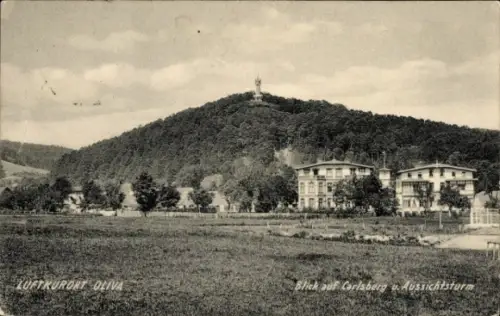 Ak Oliva Gdańsk Danzig, Luftkurort  Blick auf Carlsberg, Aussichtsturm