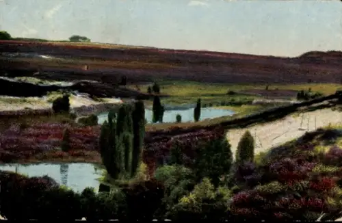 Ak Bispingen in der Lüneburger Heide, Landschaft mit Gewässern, Bäume,  Luhetal bei Bispingen