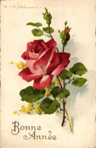 Künstler Ak Klein, Catharina, Rote Rose