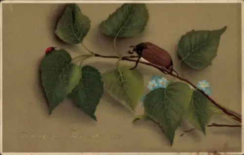 Präge Ak Frohe Pfingsten, Maikäfer, Marienkäfer