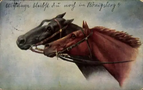 Künstler Ak Pferdegespann, Pferdeköpfe, Zaumzeug, Portrait