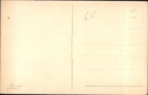 Ak Zwei junge Hunde, Tierportrait