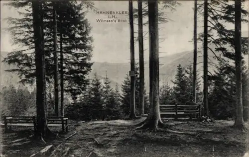 Ak Hahnenklee Bockswiese Goslar im Harz, Waldlandschaft, Bänke, Berge im Hintergrund, HAHNENKLEE,