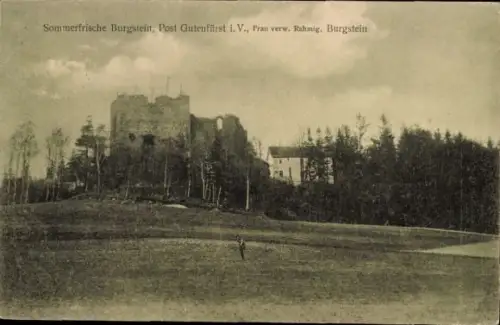 Ak Burgstein Weischlitz im Vogtland,  Ruine, Wald, Wiese, Sommerfrische
