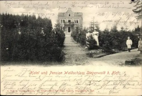 Ak Stegenwald b. Hof Saale, Hotel Pension Waldschloss