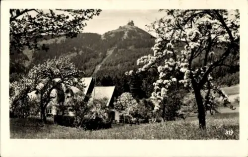 Ak Reichenberg in Böhmen Liberec Tschechien, Berglandschaft, blühende Bäume, Wiese, Jeschken 1010