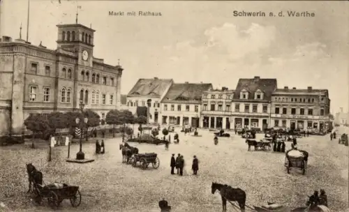 Ak Skwierzyna Schwerin an der Warthe Ostbrandenburg, Markt mit Rathaus,  Pferdewagen