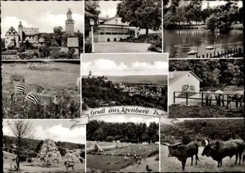 Ak Kronberg im Taunus, Panorama, Schwimmbad, Tiere