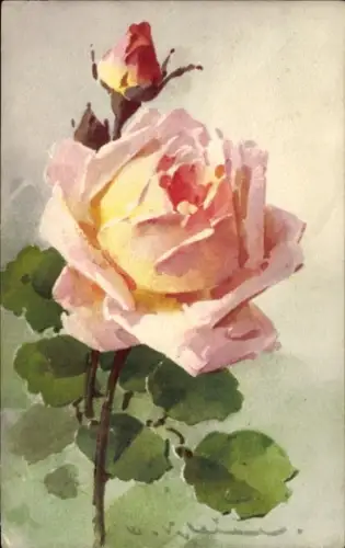 Künstler Ak Klein, Catharina, rosa Rose