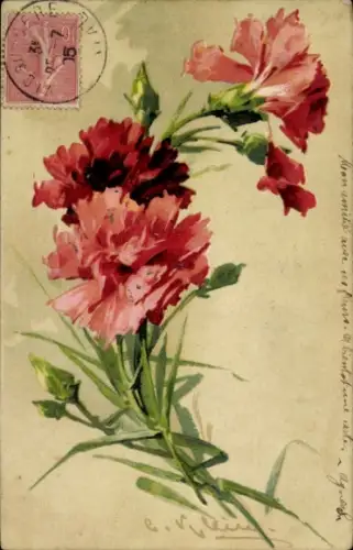 Künstler Ak Klein, Catharina, Rote Nelken