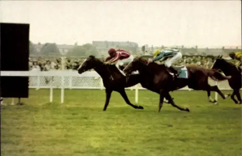 Ak Pferderennen, Galopprennen, Rennkalender Mai 1967, Postillon