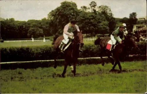 Ak Pferderennsport, Hindernisrennen, Jockeys auf Pferden, Postillon 1967