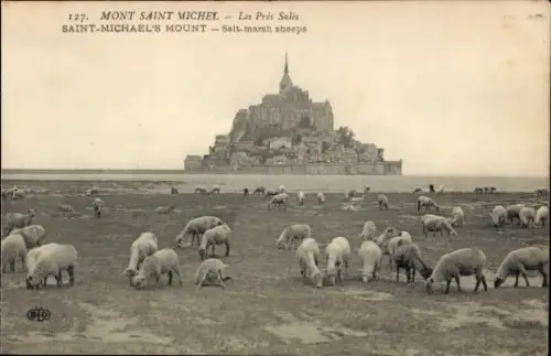 Ak Le Mont Saint Michel Manche, Schafe