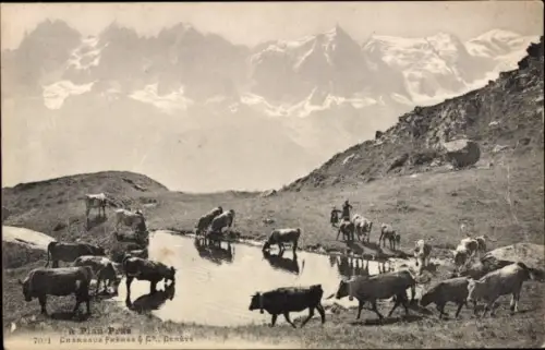 Ak Berglandschaft, Kühe an der Tränke