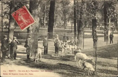 CPA Nancy Meurthe-et-Moselle, Un coin de la Pépinière