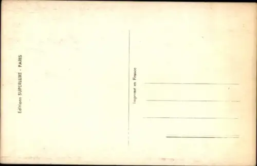 Ak Katzen, Tierportrait