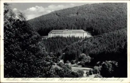 Ak Wald Brilon im Sauerland,  Hoppecketal, Haus Hoheneimberg, Waldlandschaft