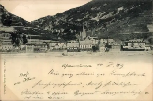 Ak Assmannshausen Rüdesheim am Rhein, Panorama
