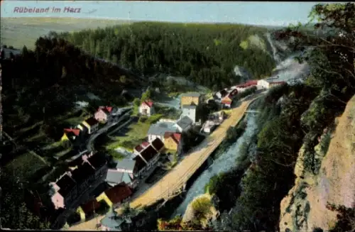 Ak Rübeland Oberharz am Brocken, Landschaftsaufnahme, Rübeland im Harz, Häuser, Straße, Wald