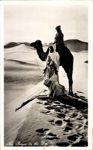 Ak Ägypten, Gebet in der Wüste, Kamel