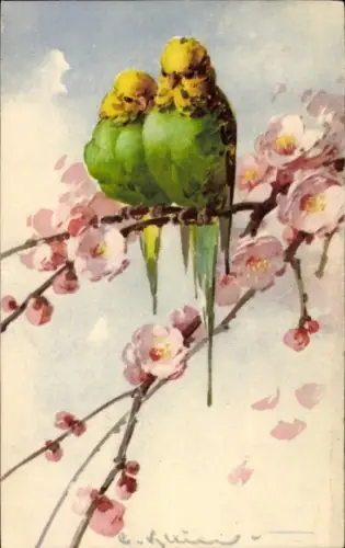 Künstler Ak Klein, Catharina, Zwei Wellensittiche auf einem Ast