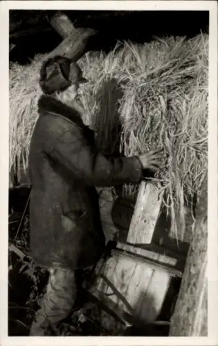 Ak Hauswand wird mit Garben verkleidet, Winterschutz, Mann