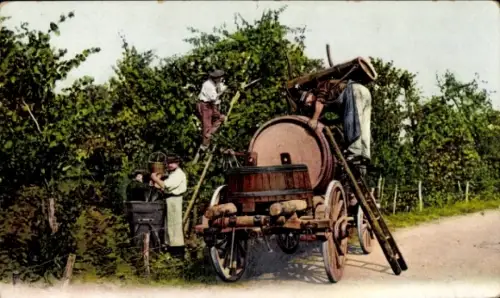 Ak Landwirtschaft, Ernte, Fuhrwerk, Bäume