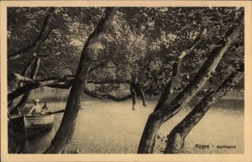 Ak Insel Rügen,  Herthasee, Baum, Wasser, Boot, Person