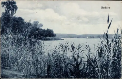 Ak Nedlitz Potsdam,  Wasserlandschaft, Schilf, Segelboot