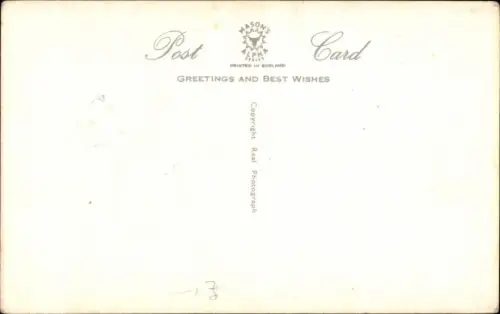 Ak Zwei junge Katzen, Katzenportrait