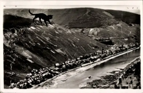 Ak Zell an der Mosel, Landschaft mit Fluss, Häusern, großer Katze, Zell-Mosel