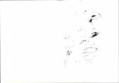 Autogrammkarte Fußballer René Schmidt, FSV Zwickau, Autogramm