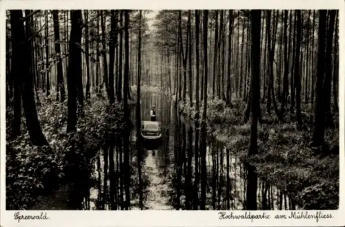 Ak Spreewald, Spreewälderin in Tracht, Hochwaldparkie am Mühlenfliess