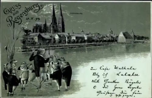 Mondschein Litho Regensburg an der Donau Oberpfalz, Gesamtansicht, singende Frösche