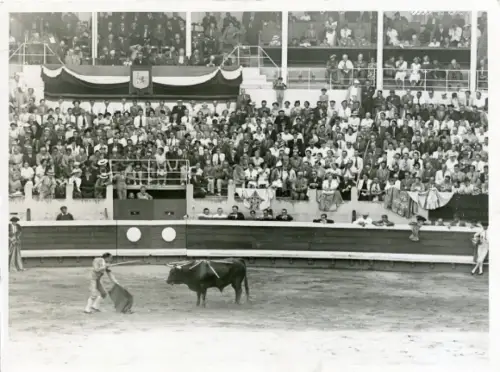 Foto Dax Landes, Stierkampf, Arena