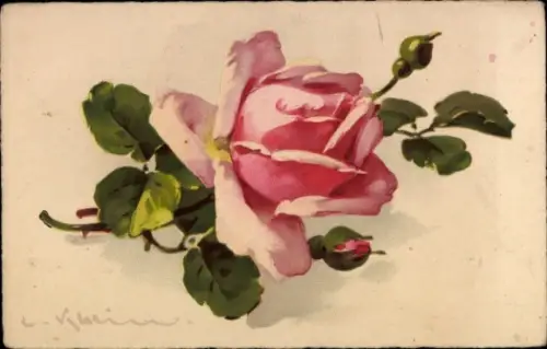 Künstler Ak Klein, Catharina, Rosa Rose, Glückwunsch