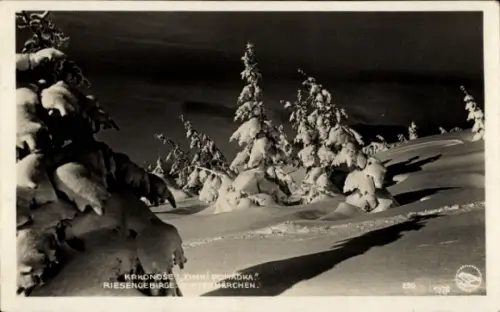 Ak Region Königgrätz, Riesengebirge, Krkonose, Wintermärchen