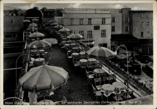 Ak Jelenia Góra Hirschberg Riesengebirge Schlesien, Hotel Drei Berge, Dachgarten