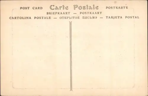 Ak Landschaft, Schafherde