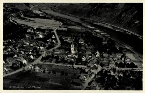 Ak Trittenheim an der Mosel, Luftaufnahme von  Mosel, Fluss, Weinbau, Hotel zur Krone