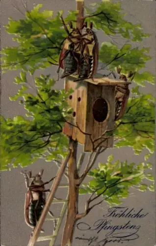 Ak Glückwunsch Pfingsten, Maikäfer, Baum, Vogelhäuschen