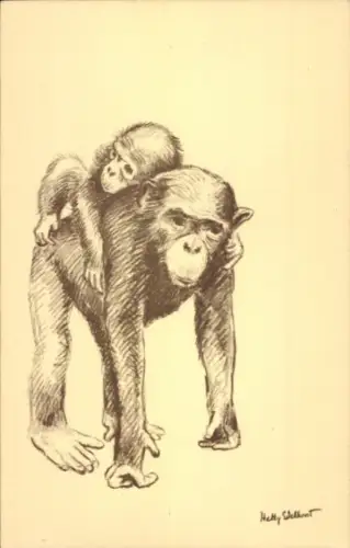 Künstler Ak Edelkoort, Hetty, Schimpansen