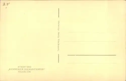 Künstler Ak Edelkoort, Hetty, Schimpansen