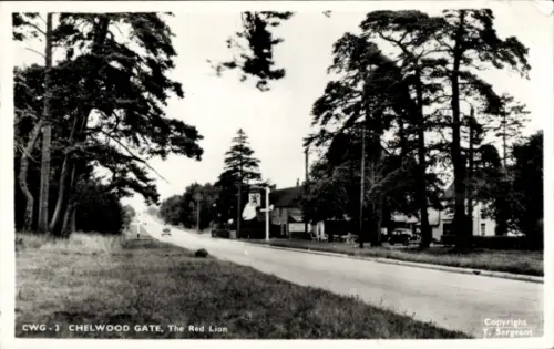 PC Haywards Heath Sussex England, Chelwood Gate, Red Lion