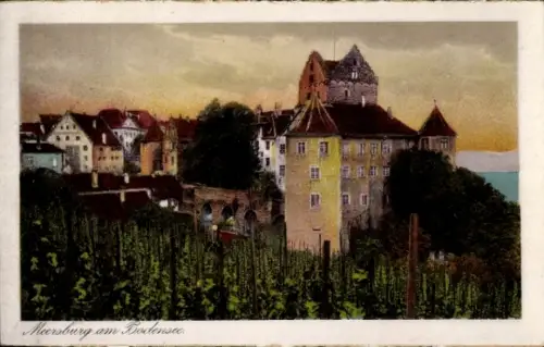 Ak Meersburg am Bodensee, Meersburg am Bodensee, Weinberge,  Gebäude