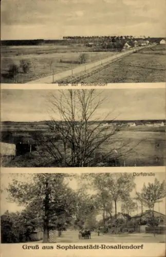 Ak Rosaliendorf Sophienstädt Marienwerder im Barnim, Panorama, Dorfstraße